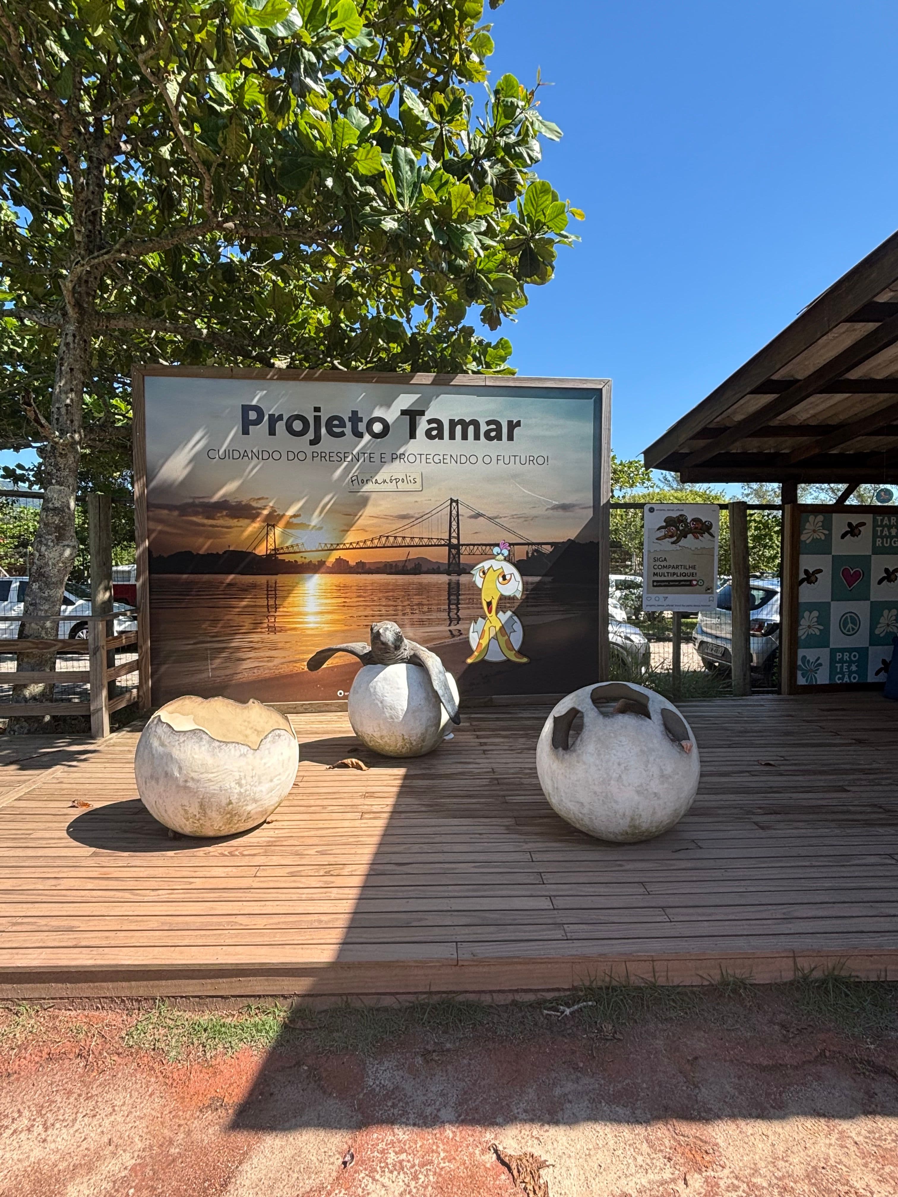 scultures d'oeufs de tortues au projet Tamar Florianopolis